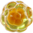 CoQ10