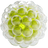 Phosphatidylserine